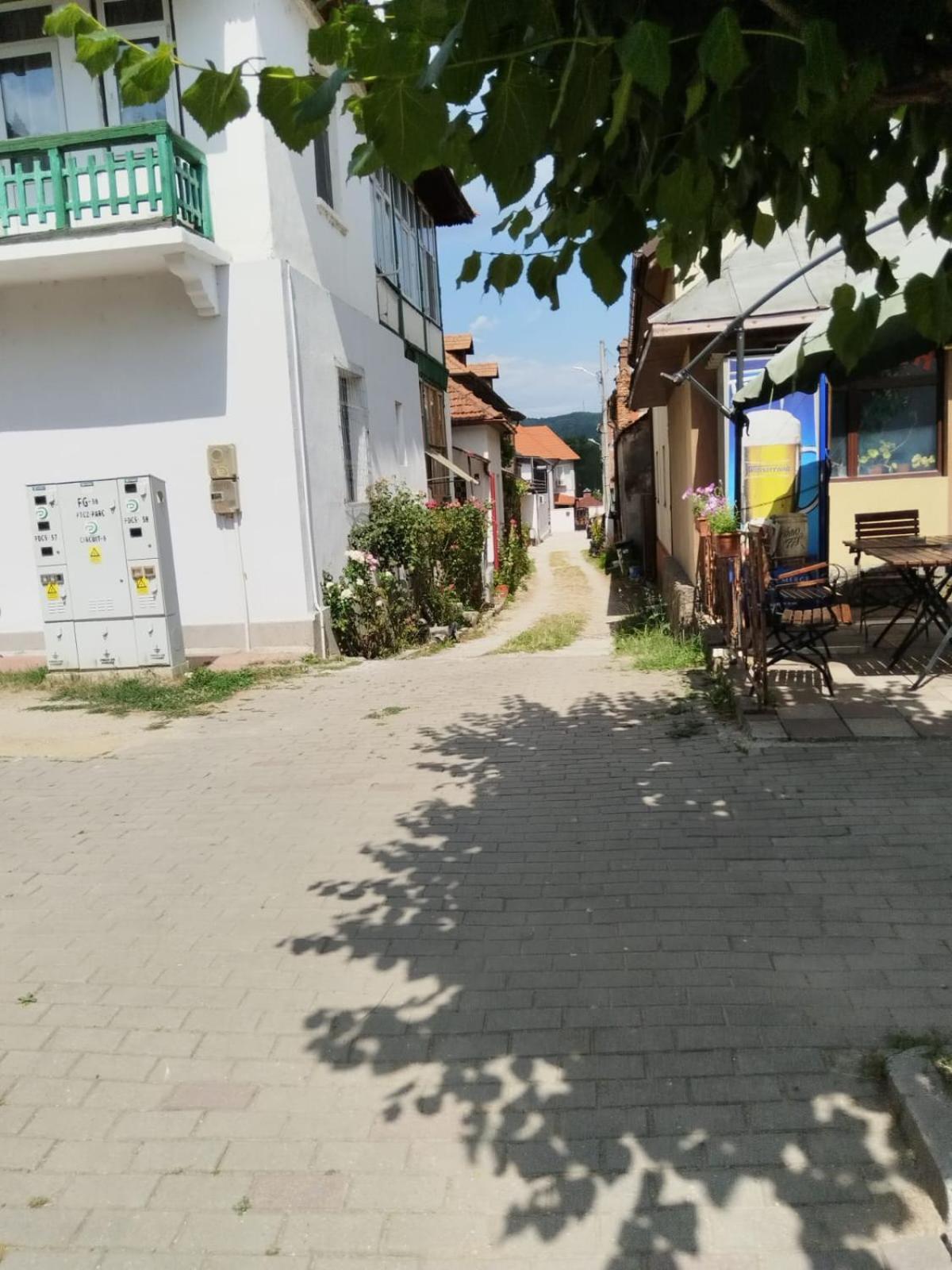 Urbanist Guest House Călimăneşti Eksteriør bilde